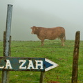 Sesiarte-Andutz-Lizarreta (206)